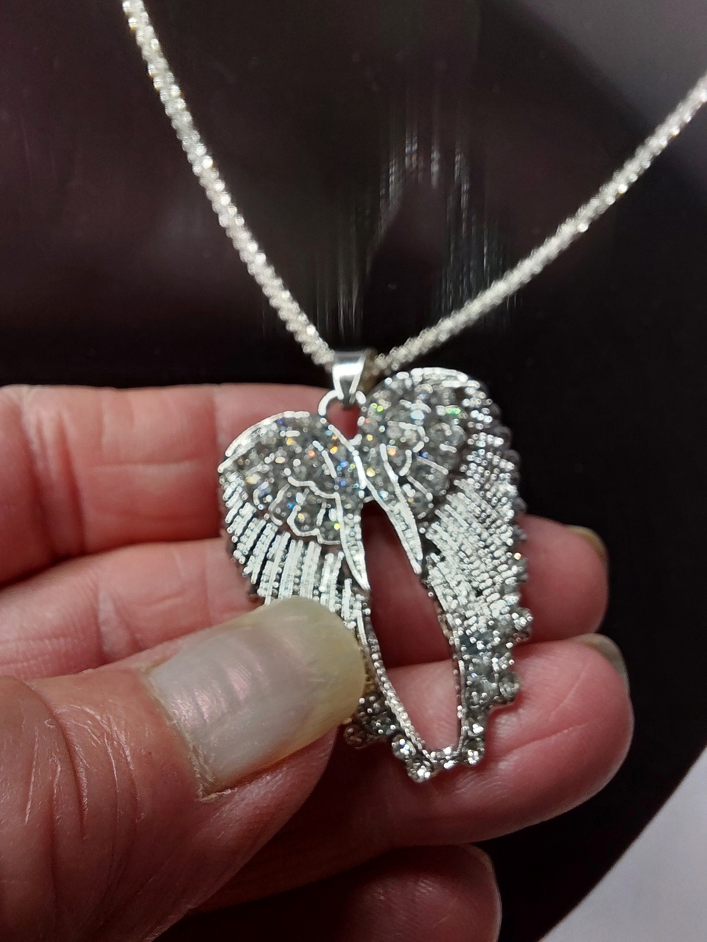 On SILVERY WINGS